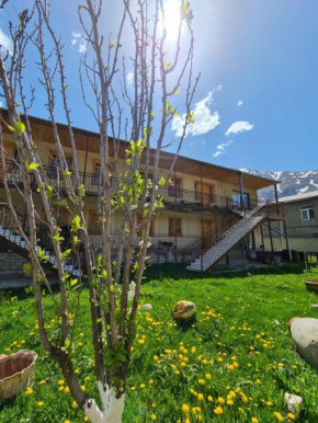 Sunny Mountain House